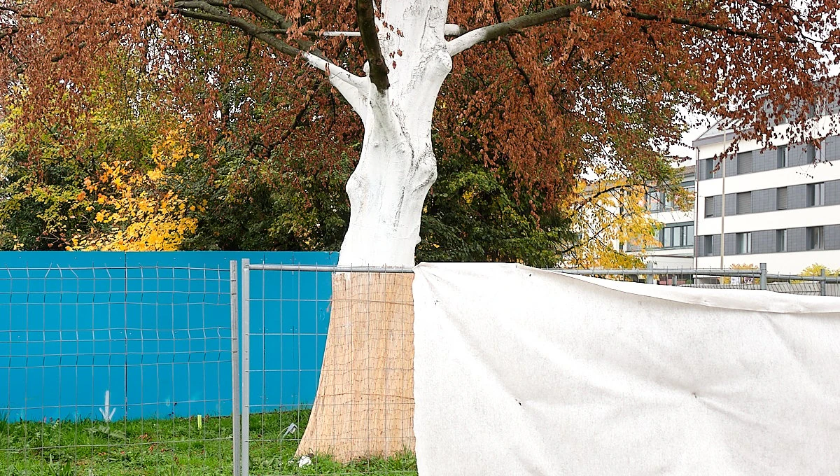 The white tree
