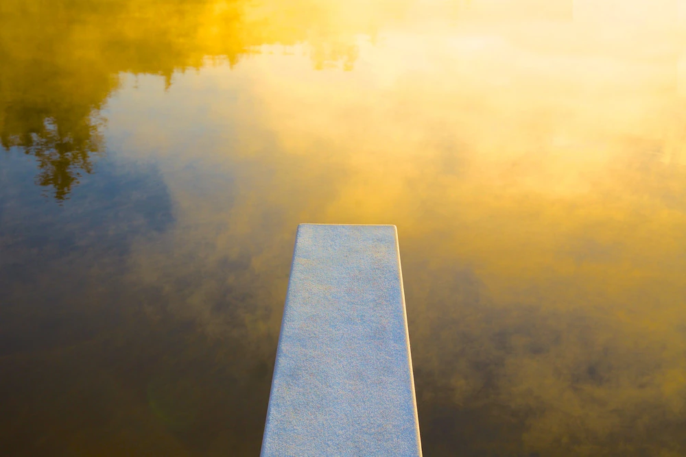 Dive Into Dawn