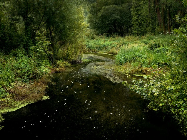Chalk Streams 10